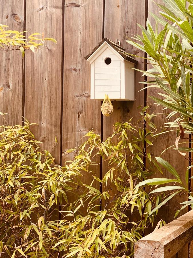 La Cabane Du Bois Arcachon Exteriör bild